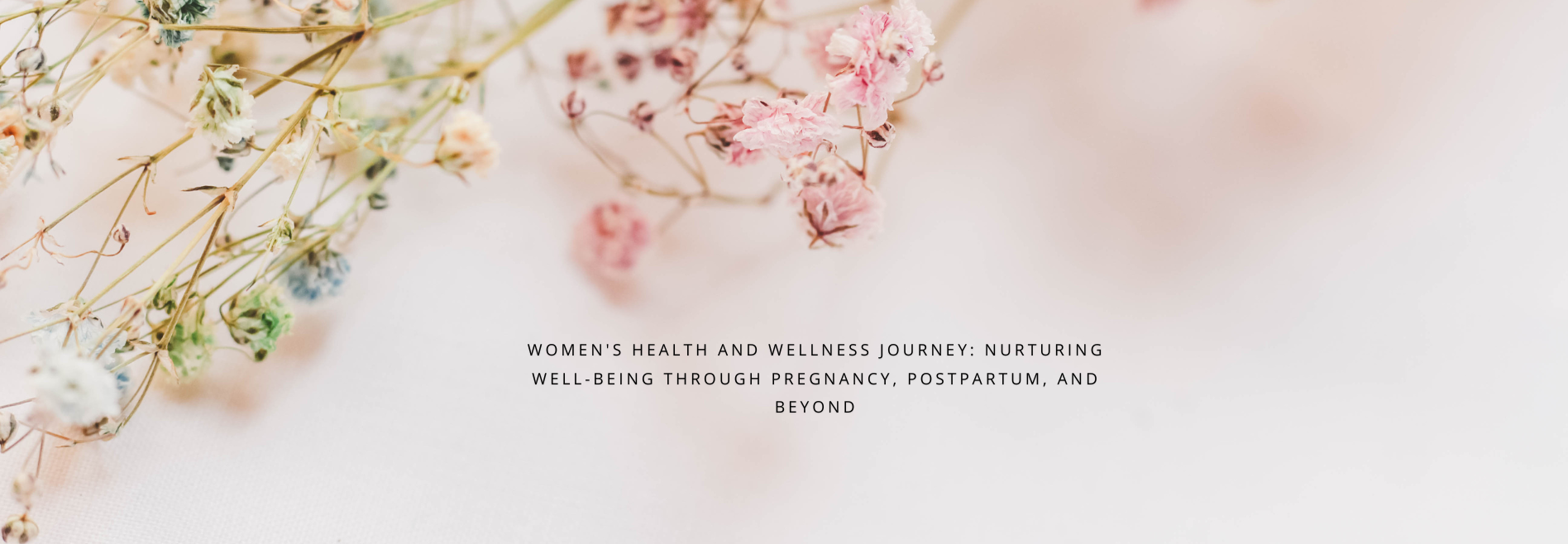 Women's Health and Wellness Journey Nurturing Well-being Through Pregnancy, Postpartum, and Beyond (1)